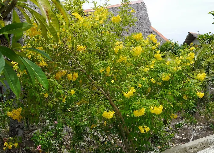 T Breeze Coastal Resort