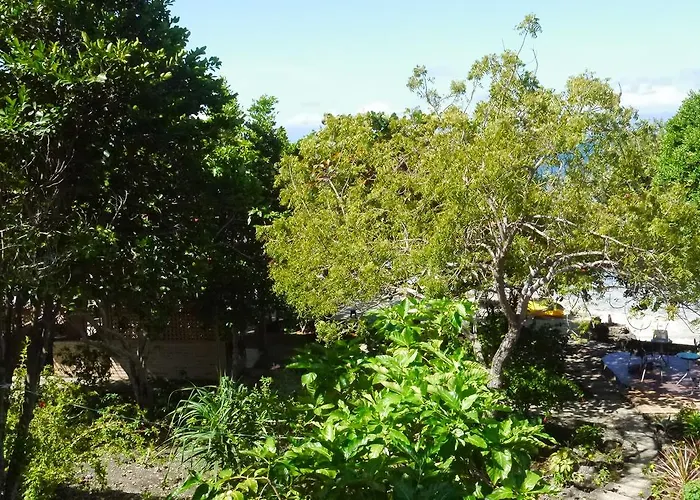T Breeze Coastal Moalboal